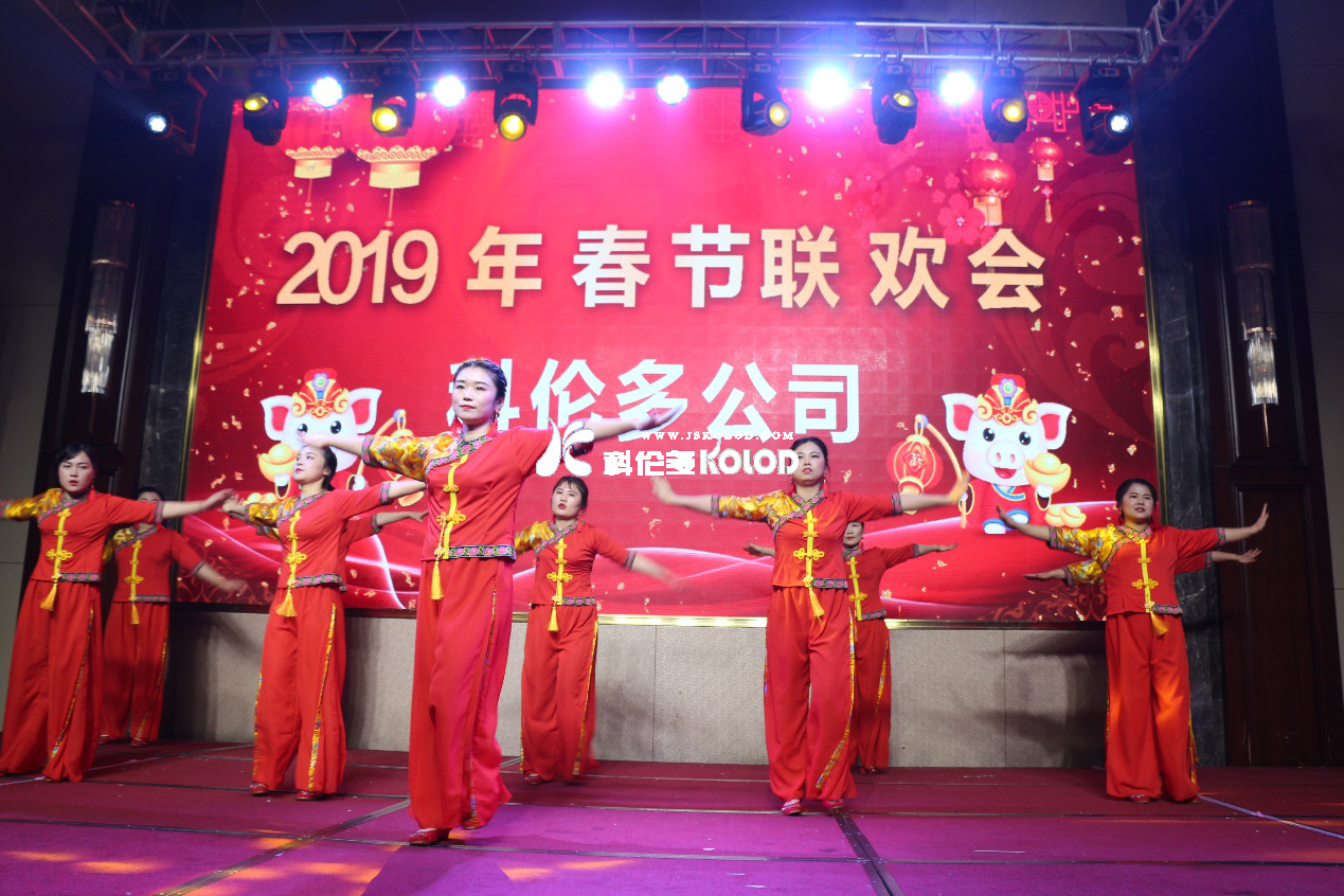 凱歌高奏辭舊歲，豪情滿懷迎新年 （科倫多隆重舉行2019春節(jié)聯(lián)歡晚會）